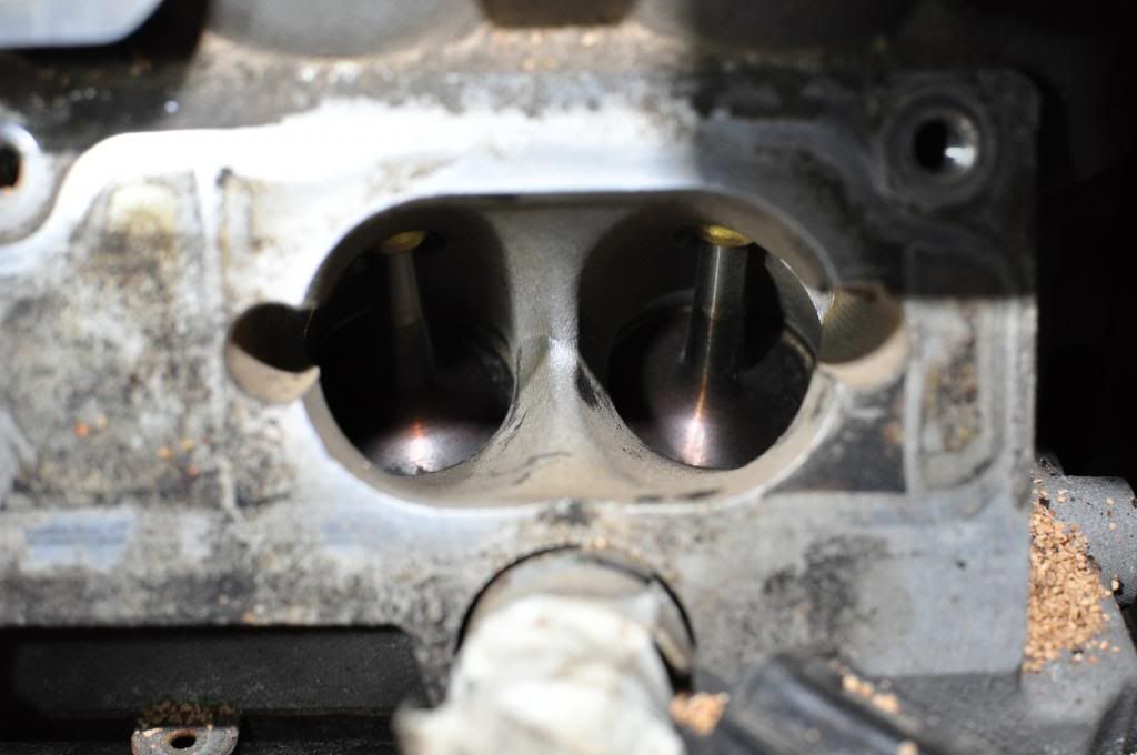 Cleaned intake valves